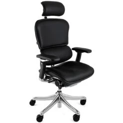 Ergohuman Plus Luxury Leather Office Chair (With Headrest)