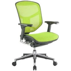 Enjoy Mesh Office Chairs (Without Headrest) -Office Furniture 029345