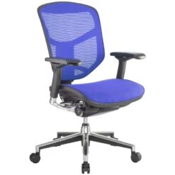 Enjoy Mesh Office Chairs (Without Headrest) -Office Furniture 029346