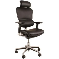 Ergohuman Elite Leather Office Chairs (With Headrest)