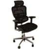 Ergohuman Elite Mesh Office Chairs (With Headrest) -Office Furniture 029410