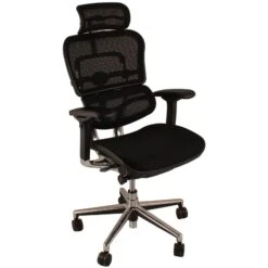 Ergohuman Elite Mesh Office Chairs (With Headrest)
