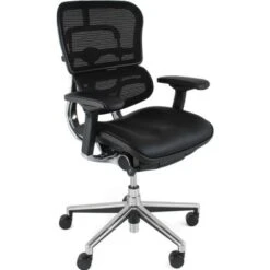 Ergohuman Elite Mesh & Leather Office Chairs (Without Headrest)