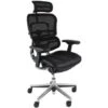 Ergohuman Elite Mesh & Leather Office Chairs (With Headrest) -Office Furniture 029420