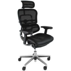 Ergohuman Elite Mesh & Leather Office Chairs (With Headrest)