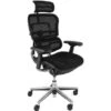 Ergohuman Elite Mesh & Fabric Office Chairs (With Headrest)