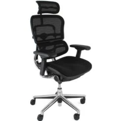Ergohuman Elite Mesh & Fabric Office Chairs (With Headrest)
