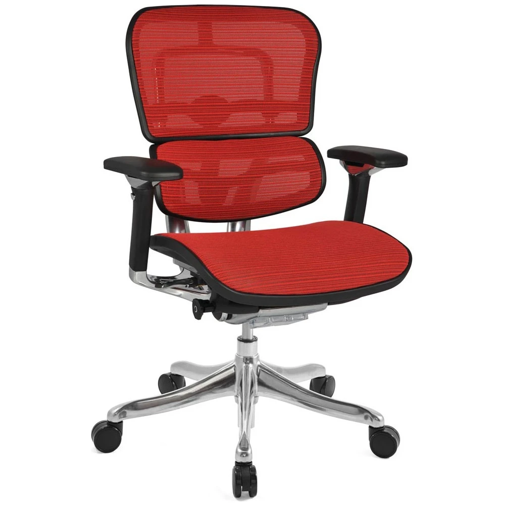 Ergohuman Plus Luxury Mesh Office Chair (Without Headrest) 4 Ergohuman Plus Luxury Mesh Office Chair (Without Headrest) - Image 2