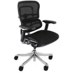 Ergohuman Plus Luxury Mesh Office Chair (Without Headrest)