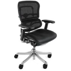 Ergohuman Plus Luxury Mesh & Leather Chair (Without Headrest)