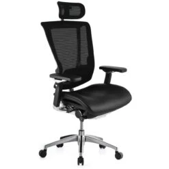 Nefil Ergonomic Mesh & Leather Office Chair (With Headrest)