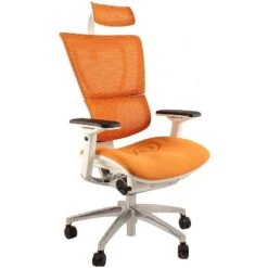 Mirus Ergonomic Mesh Office Chair (With Headrest) -Office Furniture 030042