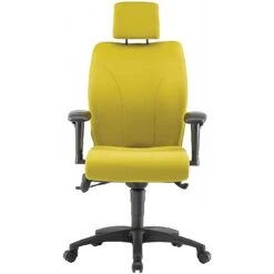 Pledge Ethos Medium Back Posture Chair With Headrest
