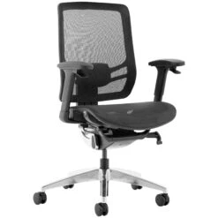 Ergo Posture 24 Hour All Mesh Office Chair