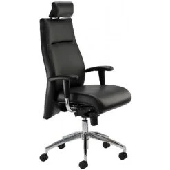 Summit Essence Executive Leather Chair With Headrest
