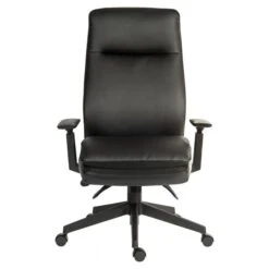 Luxe Executive Chair -Office Furniture 115627